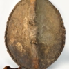 chamba shield